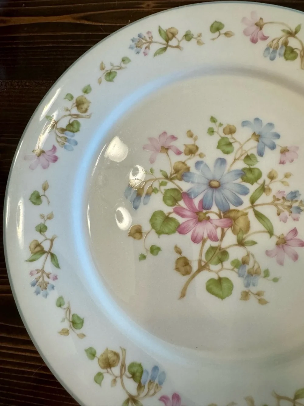 Noritake Melody Floral Porcelain DinnerPlates - Blue, Pink & Green